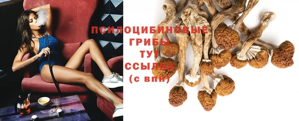 метадон Осташков