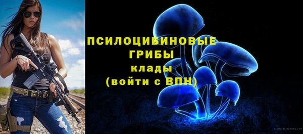 синтетический гашиш Осинники