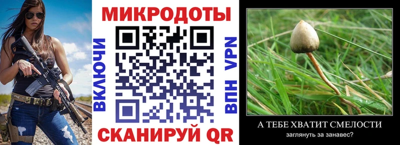 Галлюциногенные грибы Psilocybe  Купить  Шуя 