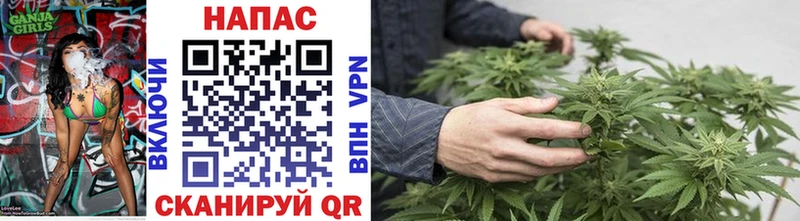 Купить закладки  Шуя  Канабис OG Kush 
